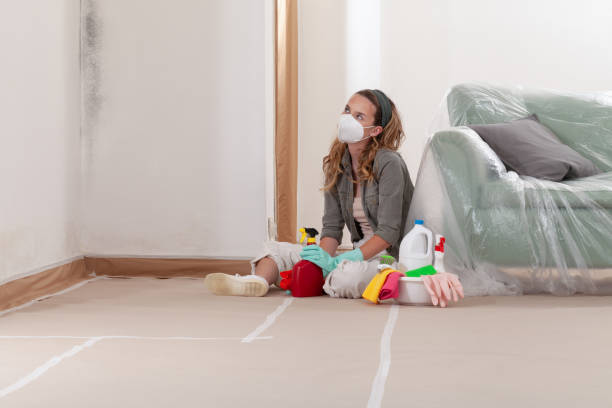 Reliable Mold Remediation contractor in Shiloh, PA by WQB Mold Removal